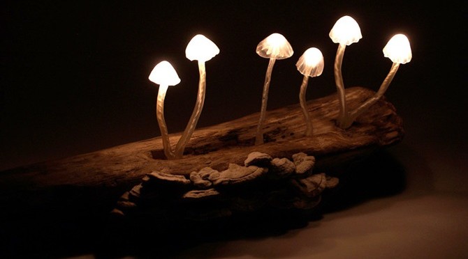 THESE ECO FRIENDLY MUSHROOMS TURN YOUR HOME INTO A MAGICAL FOREST!
