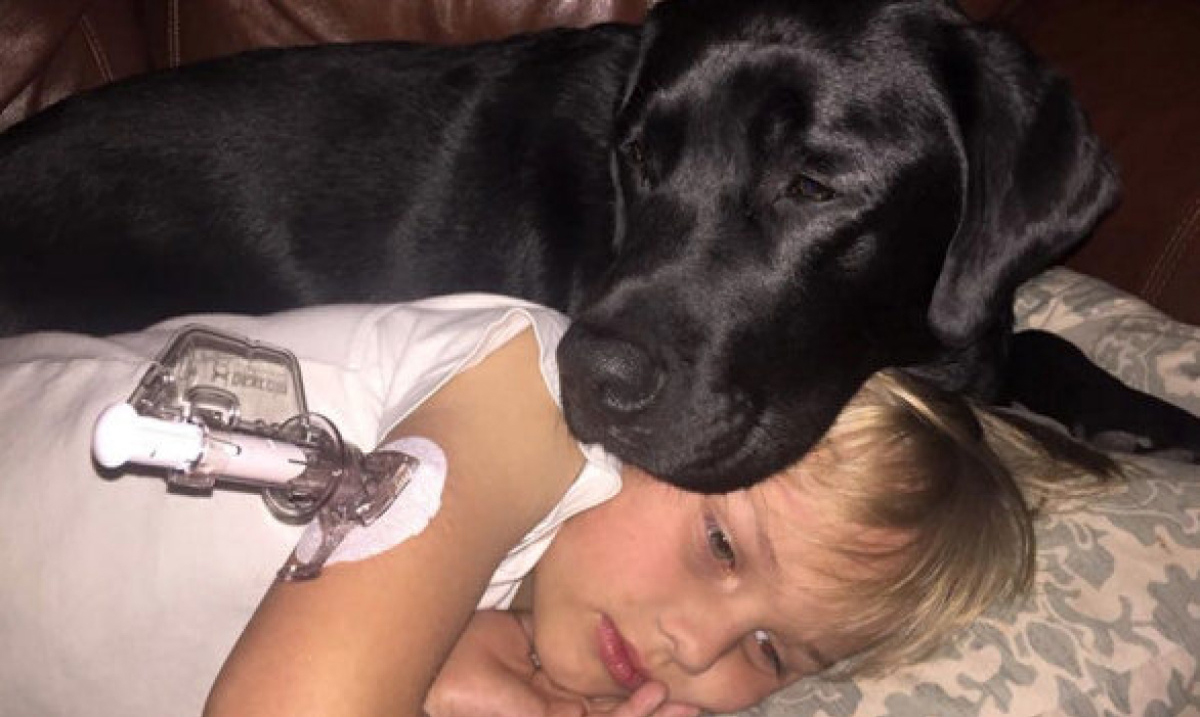 Dog Saves Life of 7-Year-Old With Diabetes While he Was Asleep