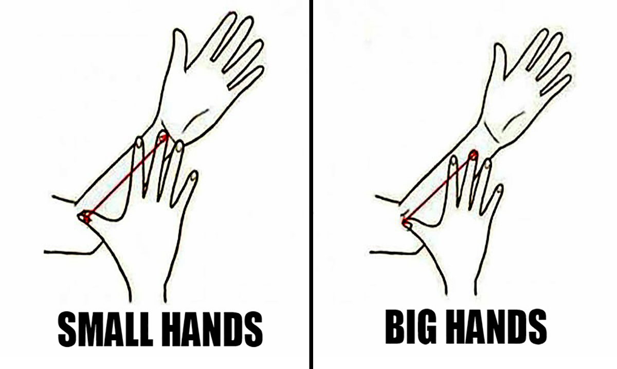 What Does Your Hand Size Reveal About Your Personality?