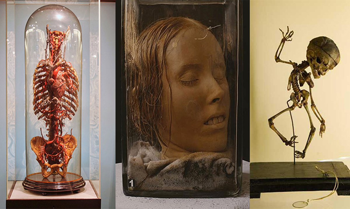 Morbid Museums: For Those Curious About Death, Torture, and Crime