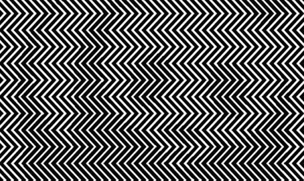Most People Can’t See What is Hiding in the Zigzag Lines! Can You?