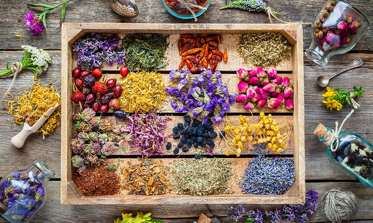 38 Beneficial Flower Essences and How to Use Them